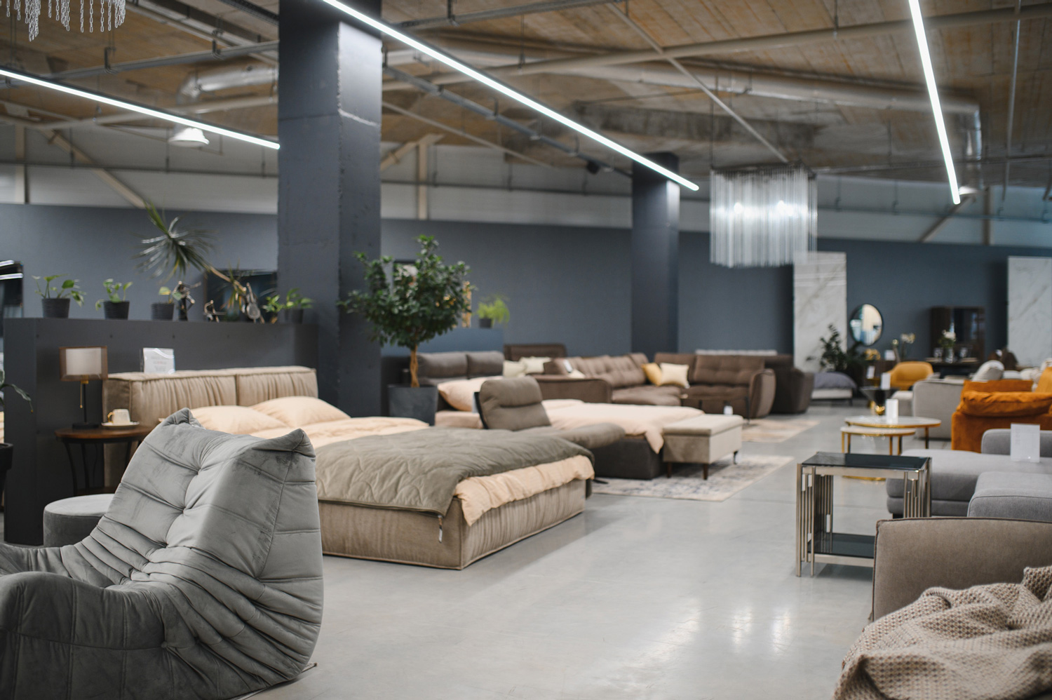 DPN transport magasin